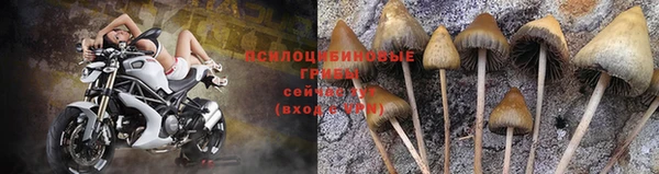 прущий лед Аркадак