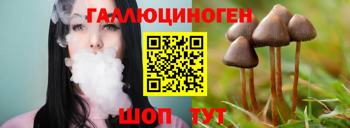 Псилоцибиновые грибы GOLDEN TEACHER Мурманск